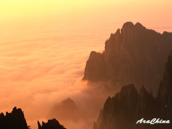 泰山雲海.jpg