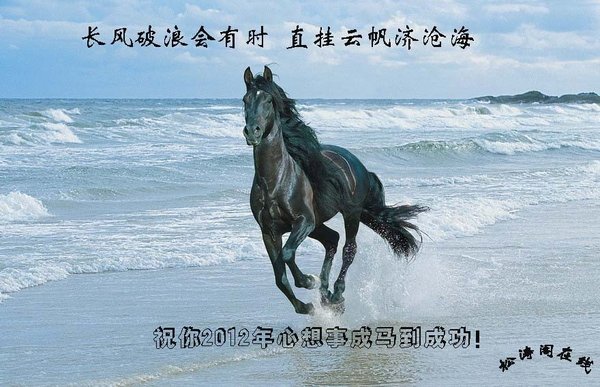 祝你2012年心想事成馬到成功.jpg