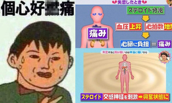 _2623687715c79010e5ffe4.jpg