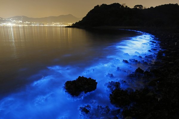 0126-hk-blue2.jpg