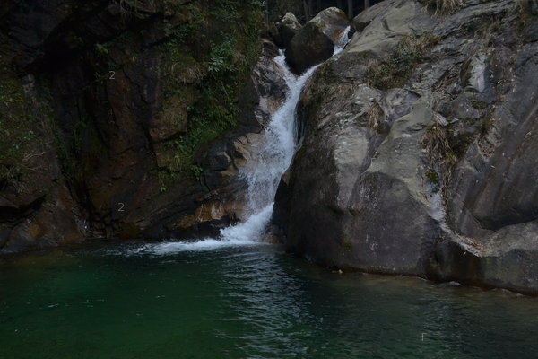 DSC_8459.JPG