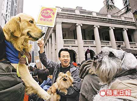 不 同 品 種 、 不 同 毛 色 、 逾 二 千 隻 貓 狗 昨 隨 主 人 宣 揚 關 注 動 物 權 益 的 訊 息 。.jpg