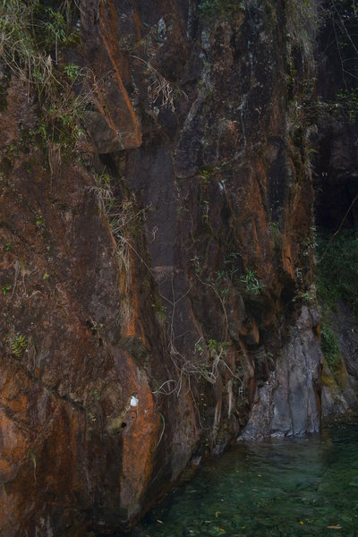 DSC_8460.JPG