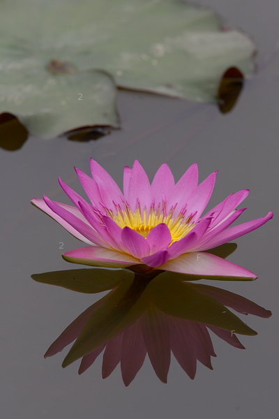 PS6S7811.JPG