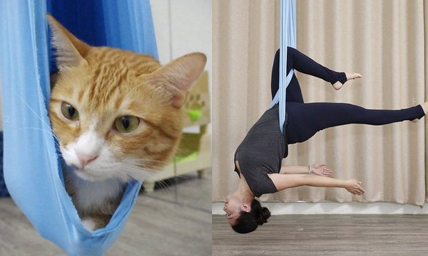 yoga.jpg