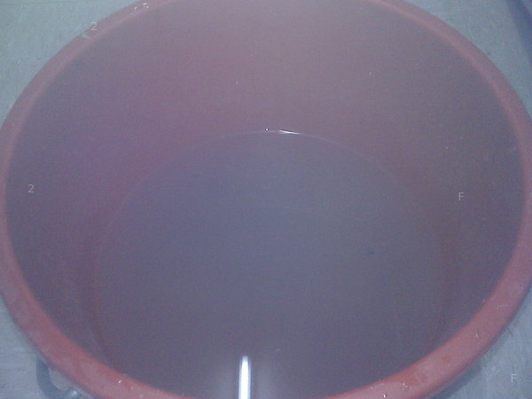Photo00013.jpg