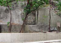 p248014.jpg