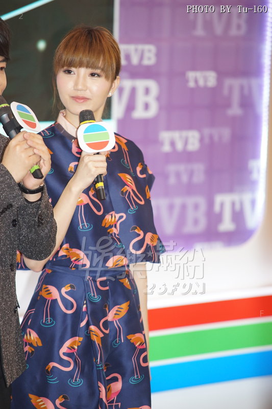 TDC-TVB-1503d2_076.JPG