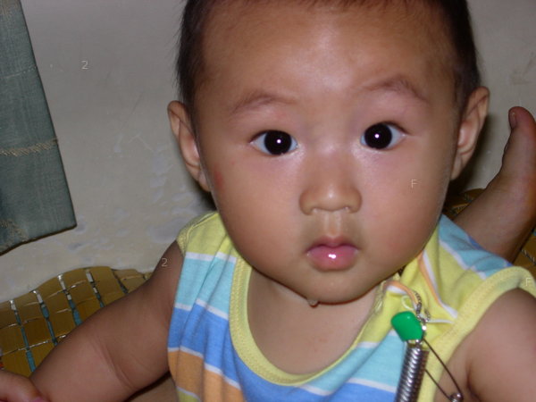 DSCN8731.JPG