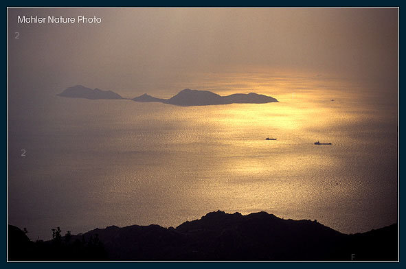 nature027.jpg