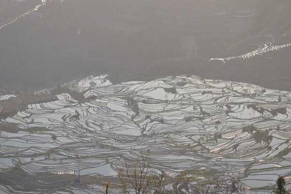 DSC_0329.JPG