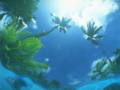 美麗的海地景色3.jpg