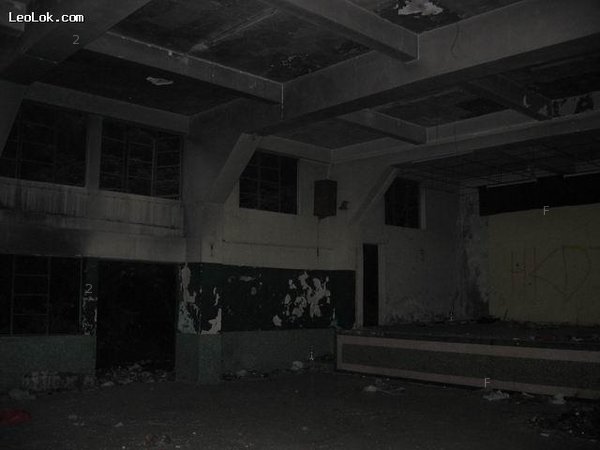 pic13.jpg