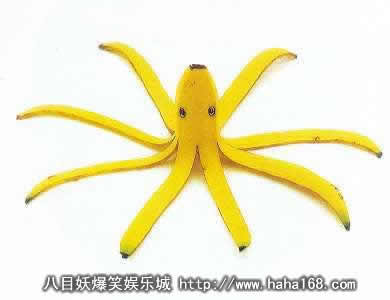 香蕉章魚.jpg