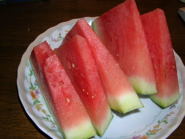 dscn0348.jpg
