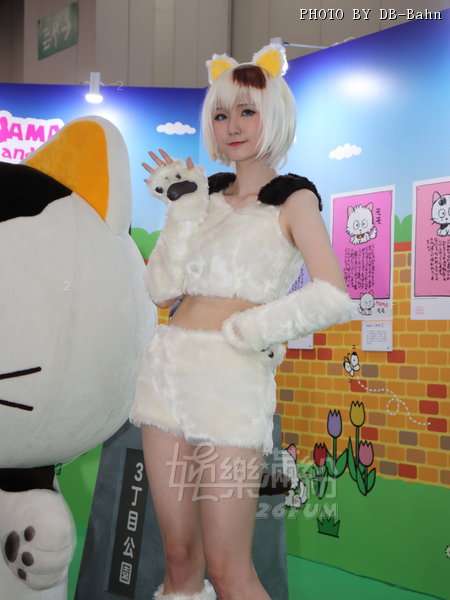 C3-190223-Cat_44-Q.jpg