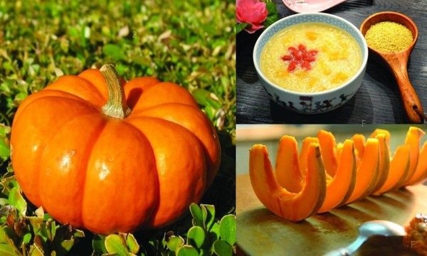 pumpkin_health_cover-01-1050x630-800x480.jpg