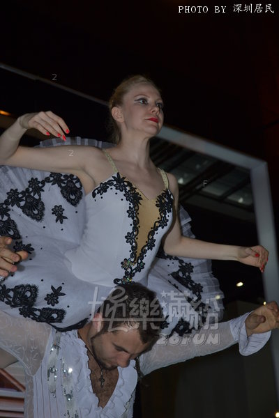 DSC_0815.JPG