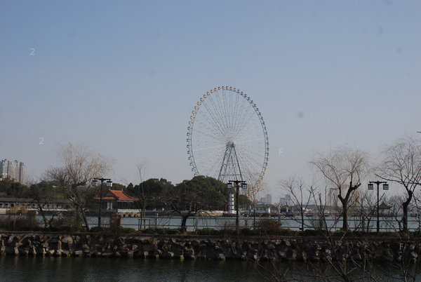 DSC_0709.JPG