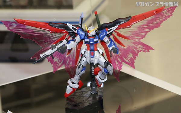 wings of light premium bandai (1).jpg