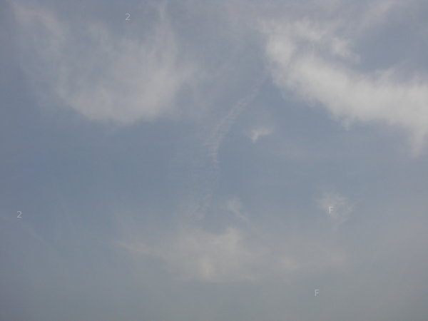 DSC00008.JPG