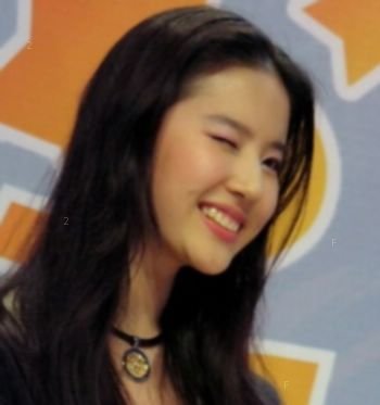單下眼先.jpg