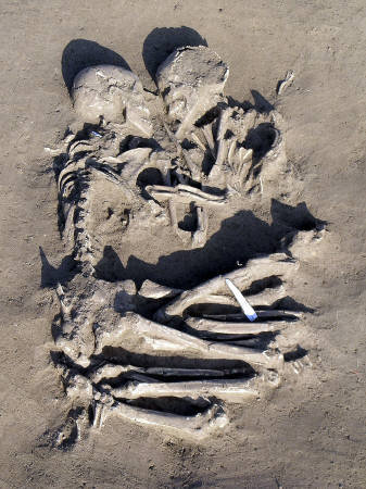 考古學家最近在意大利北部城市曼托瓦發現了一對在五千到六千年前被埋葬的男女。兩具遺骨出土時仍擁抱在一起，可謂「永恆的擁抱」。考古學家梅諾蒂說，盡管兩具遺骨的性別仍有待鑒定，但她幾乎肯定這是一男一女，他們的牙齒完好，大多沒有磨損，因此可斷定他們死時還很年輕。圖為2月6日所公開的這對遺骨的照片。.jpg
