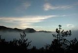 塔塔加雲海.jpg