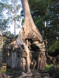Khmer 716_2.jpg